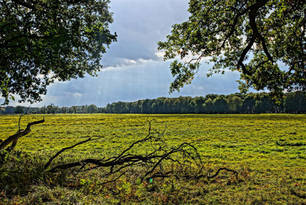 Müritz,  Mecklenburgische Seenplatte