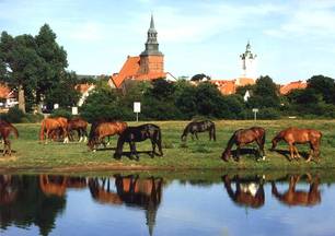 Wendland, Lüneburger Heide
