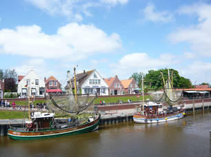 Ostfriesland,  Emsland,  Ammerland