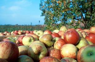 Bremen, Cuxhaven, Altes Land